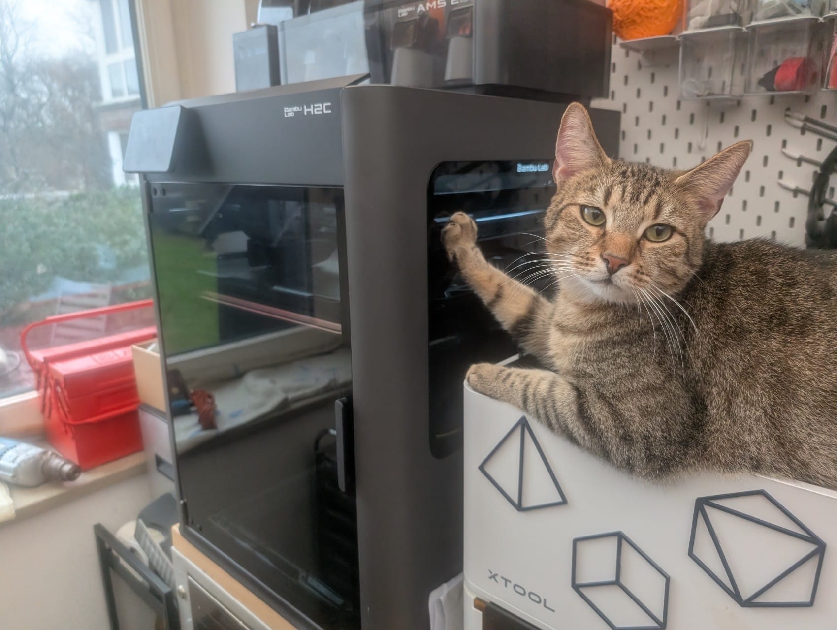 a tabby cat sitting on a lasercutter, touching a 3D printer with one paw